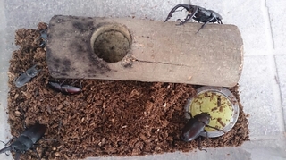 20150712073931268.jpg