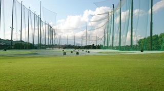 20150816061025138.jpg