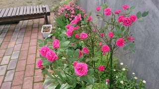 DSC_4169 - コピー.jpg