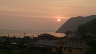 DSC_4246.jpg