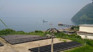 DSC_4295_m.jpg